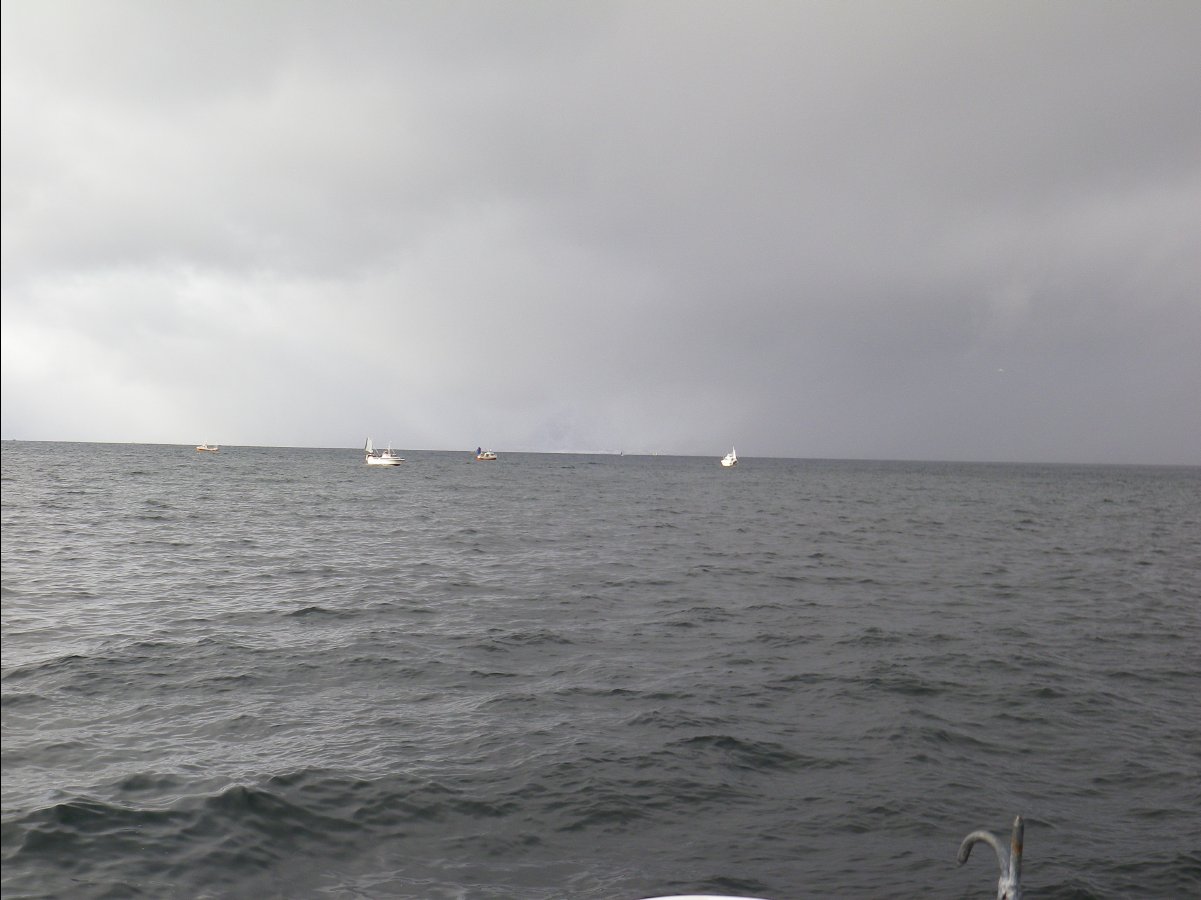Cod Fishing49